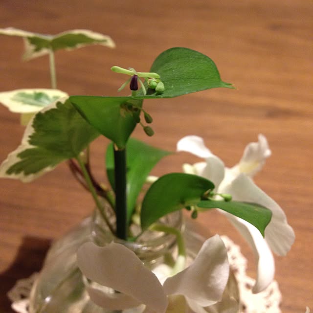 ALPSさんの実例写真