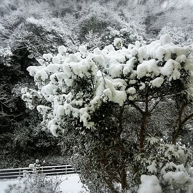 yu-ya1124さんの実例写真