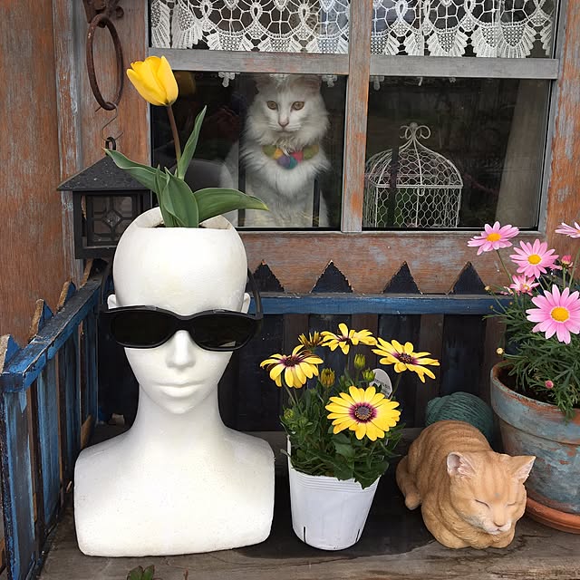 shigimiさんの実例写真