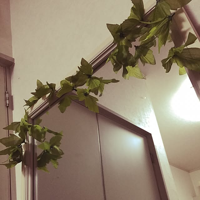 実例写真