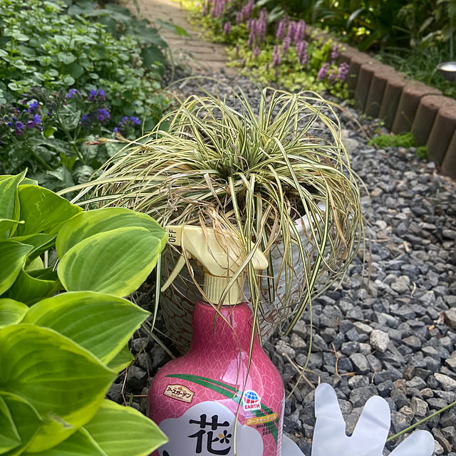 na-chanさんの実例写真