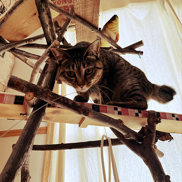 Mさんの実例写真