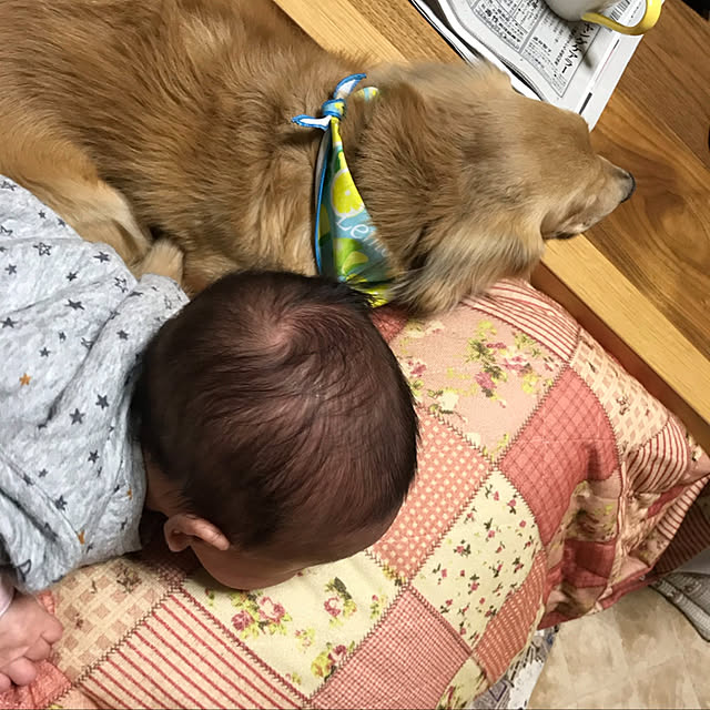 ronronさんの実例写真