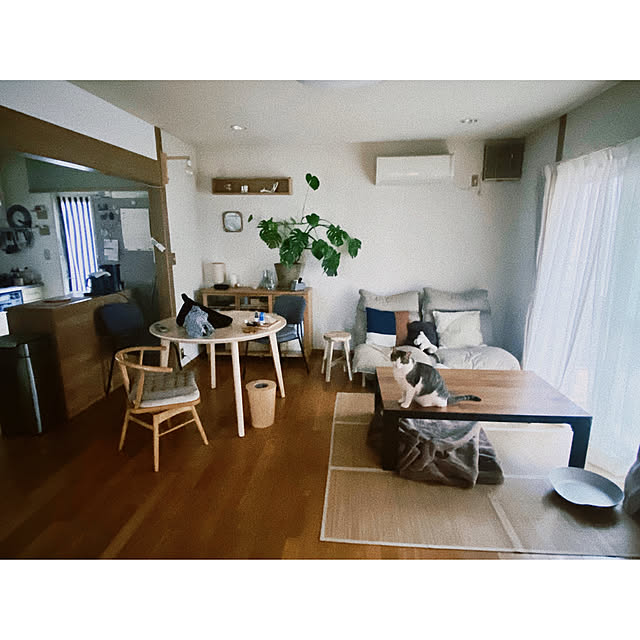 ttoさんの実例写真