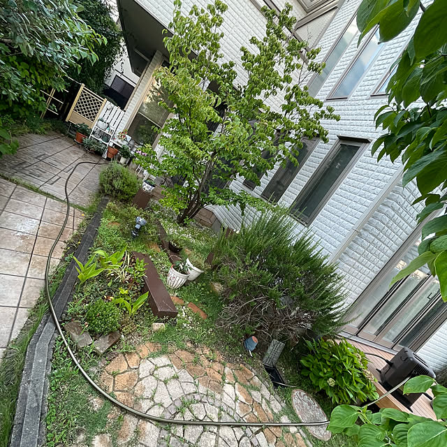 kuikoさんの実例写真