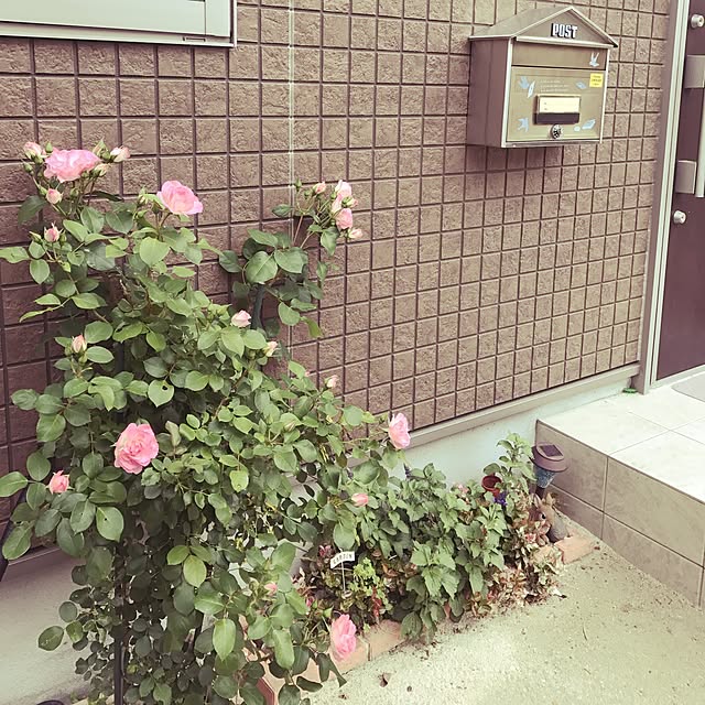 Masamiさんの実例写真