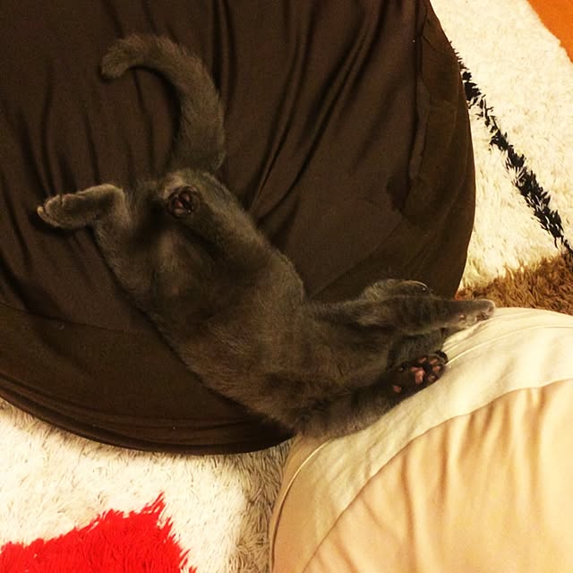 Shojiさんの実例写真