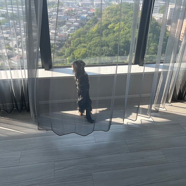 mamamaさんの実例写真