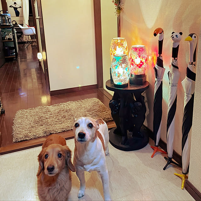 miyuuさんの実例写真
