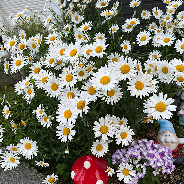 eriharuさんの実例写真