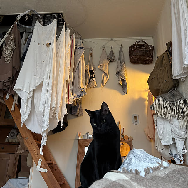 neko-2.2.2runmuさんの実例写真