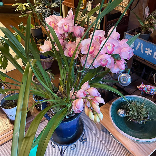shin0719さんの実例写真