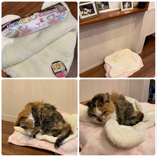 mikeume7さんの実例写真