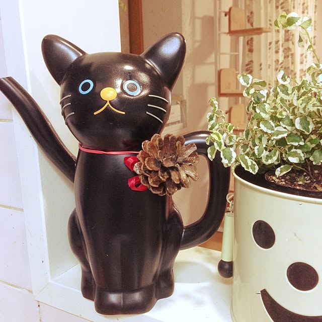 Kinanさんの実例写真