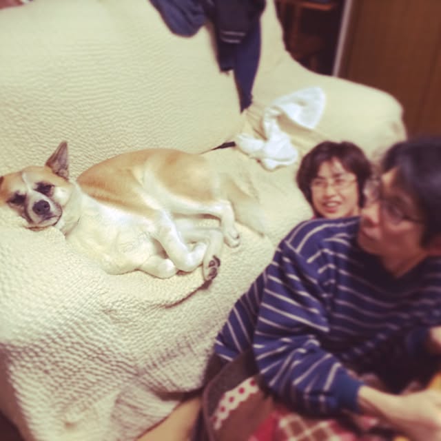kanaさんの実例写真
