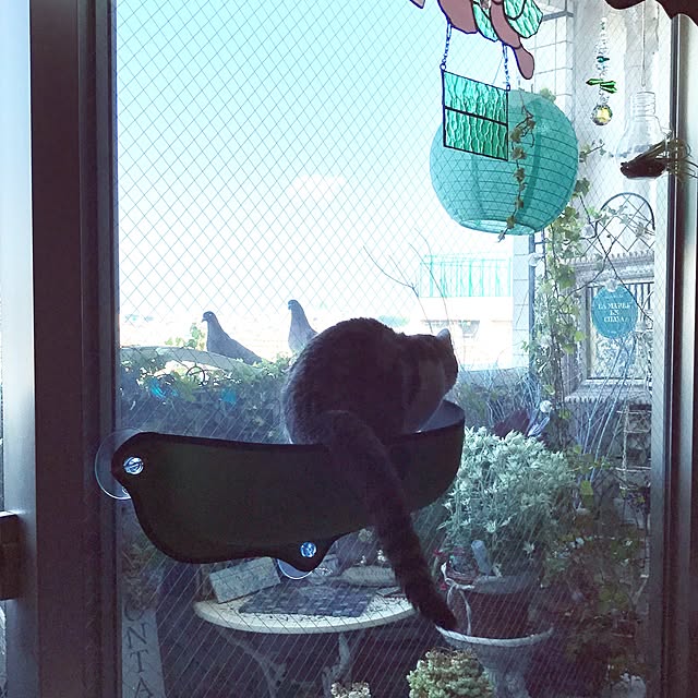emmyyさんの実例写真