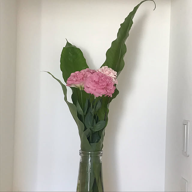 kumitanさんの実例写真