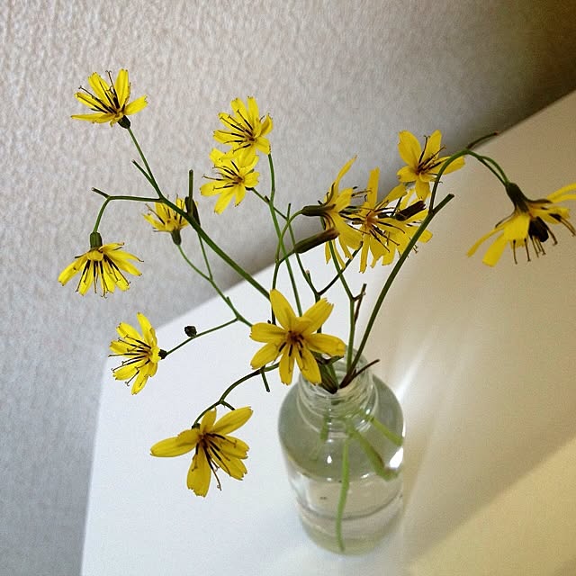 L.さんの実例写真