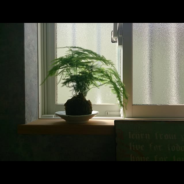 wisteriaさんの実例写真