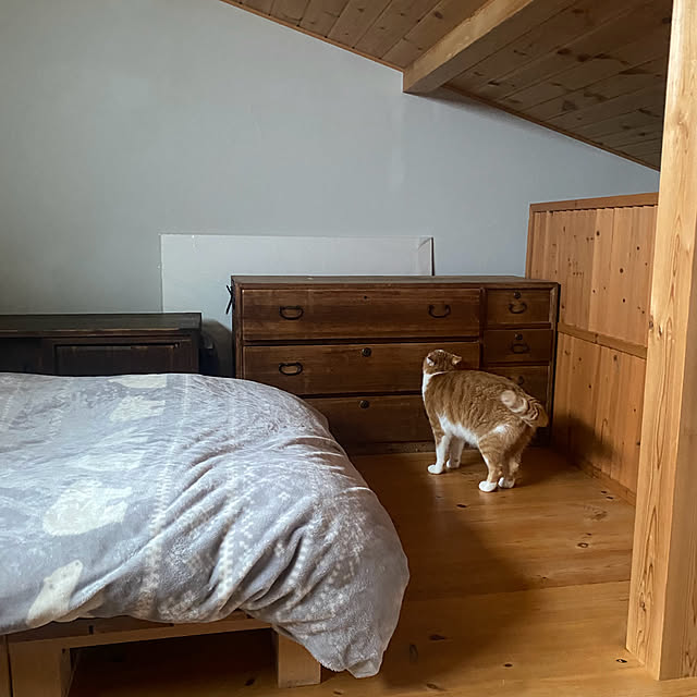 senbei.sakuramochiさんの実例写真