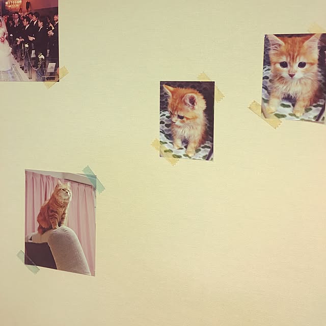 sho.ymstさんの実例写真