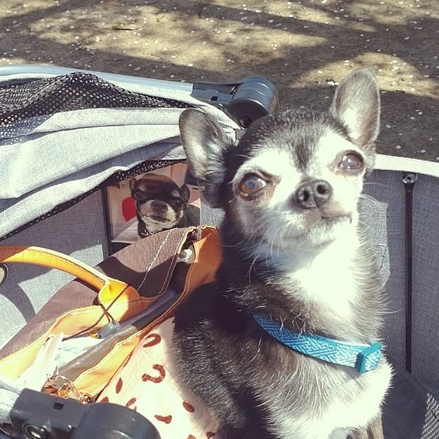 Bienvenueさんの実例写真