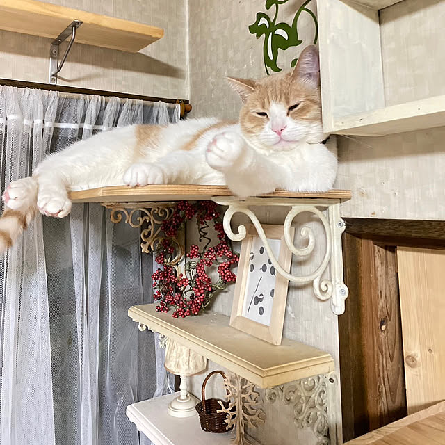 mintteaさんの部屋
