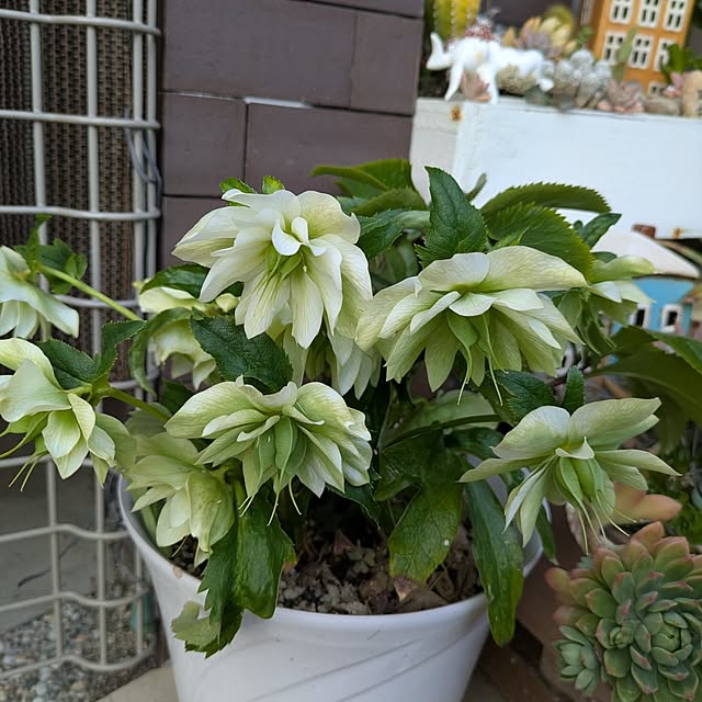 Yoshie1911さんの部屋