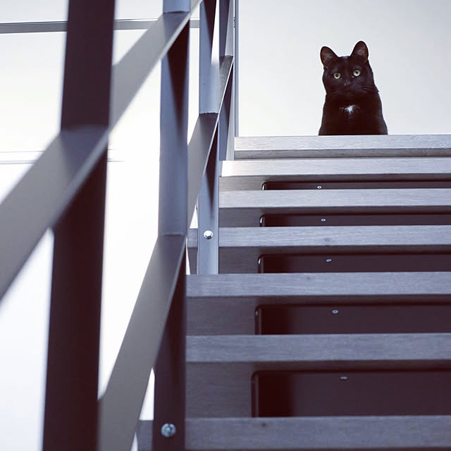 ginさんの実例写真