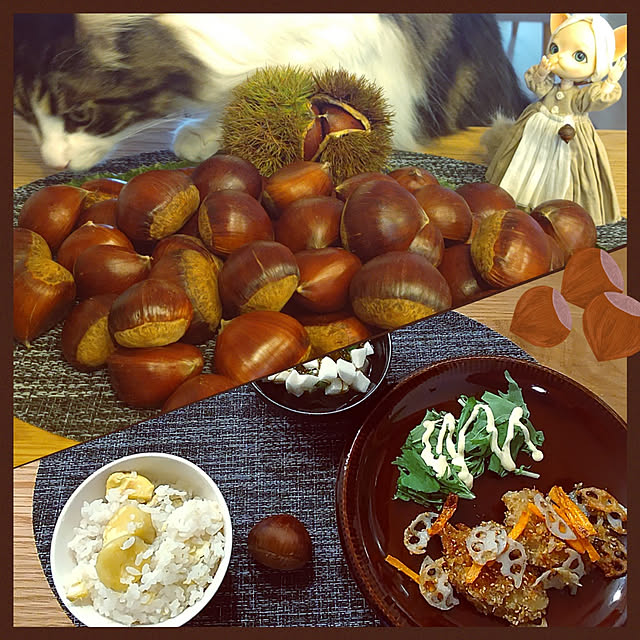 +CHIHARU+さんの実例写真