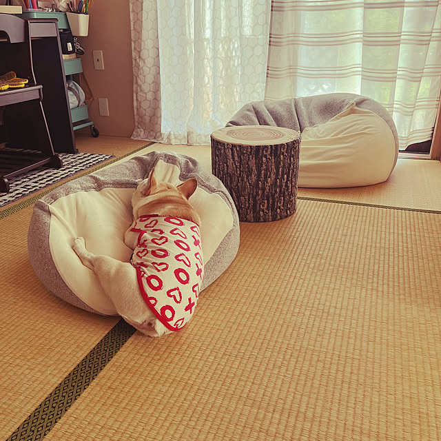 haruharu3さんの実例写真
