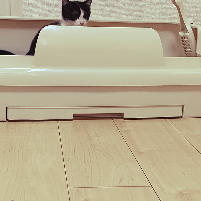 kkkさんの実例写真