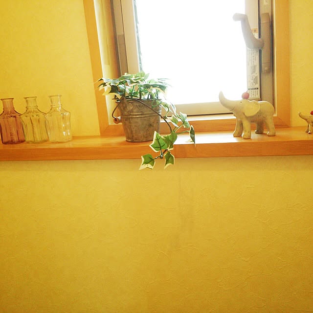 rinさんの実例写真