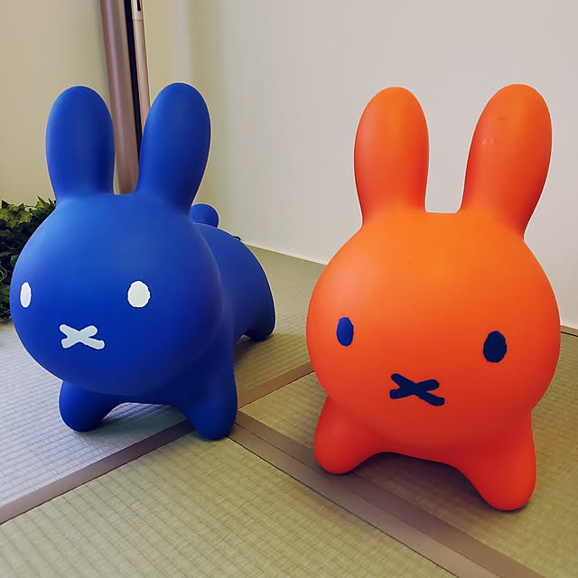 kappaさんの実例写真