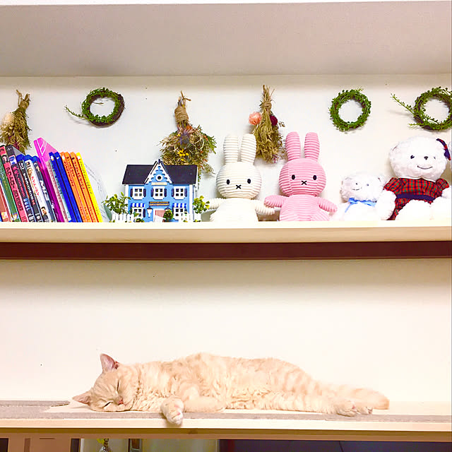 naokoさんの実例写真
