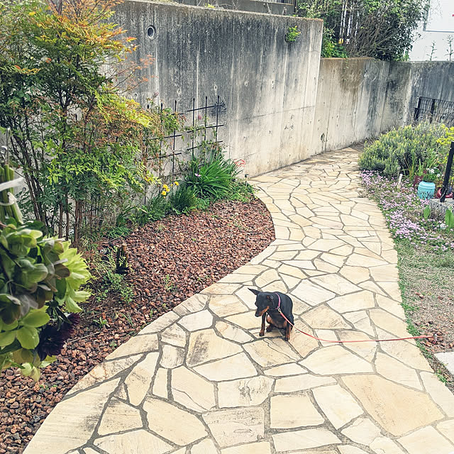 shizuponさんの実例写真