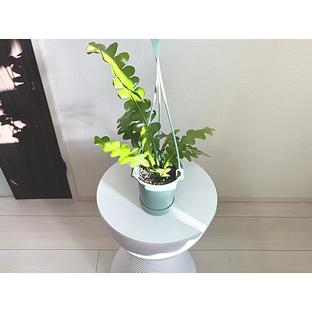 mikeさんの実例写真