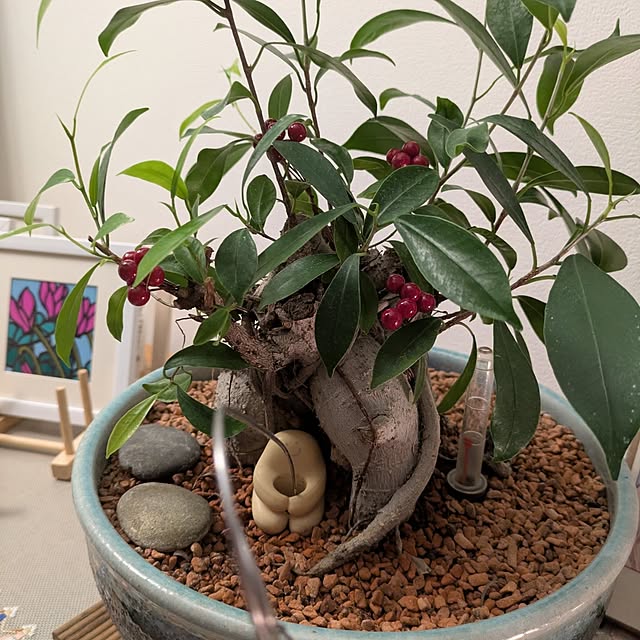 mi-saさんの部屋