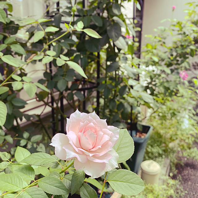 sariさんの部屋