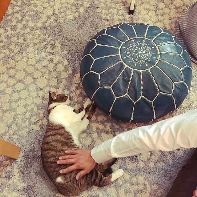 jijiさんの実例写真