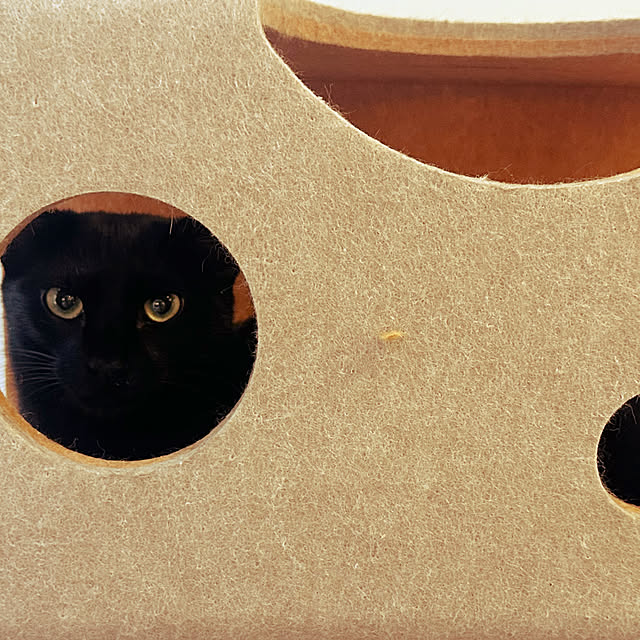 lemonadeさんの部屋