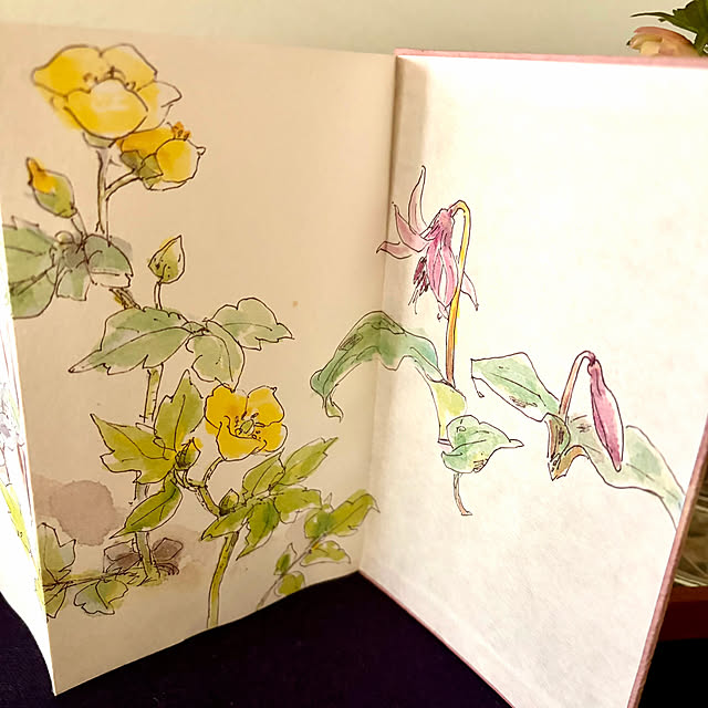 buchiさんの部屋