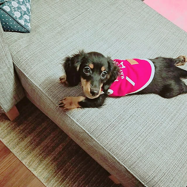 Kaori0625さんの実例写真