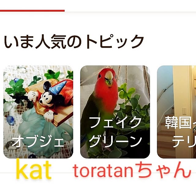 katさんの部屋
