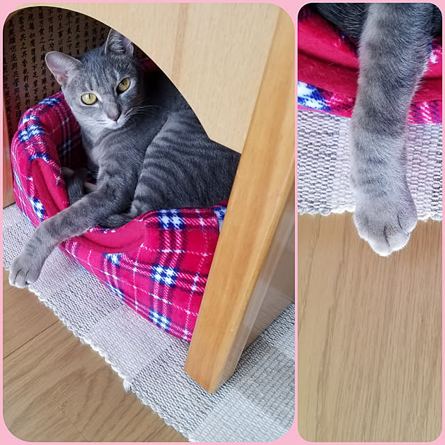 yukiさんの実例写真