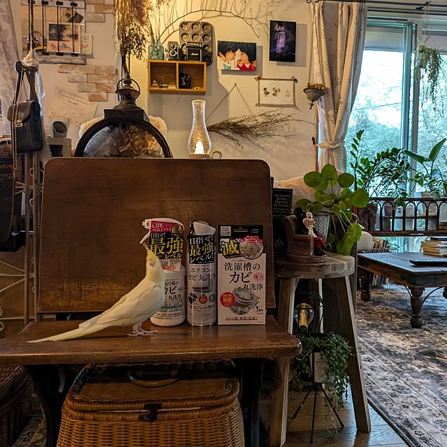 akiさんの部屋