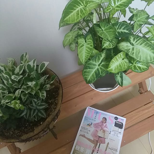 実例写真