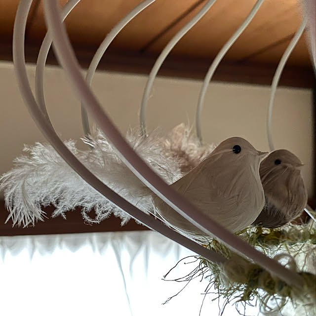 ulmusさんの実例写真