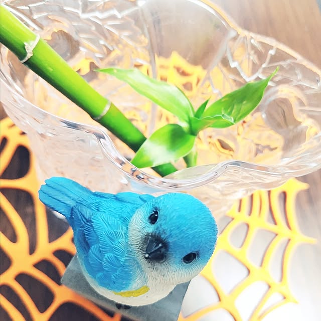 katさんの部屋