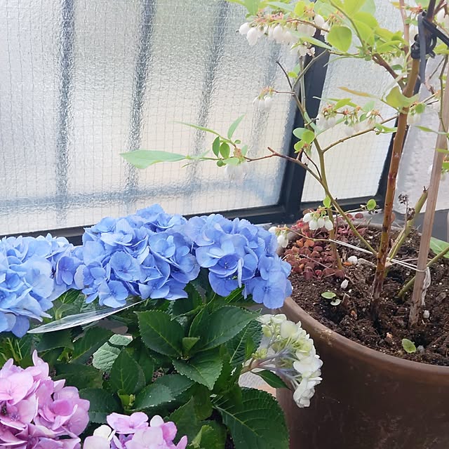 openthedoorさんの実例写真